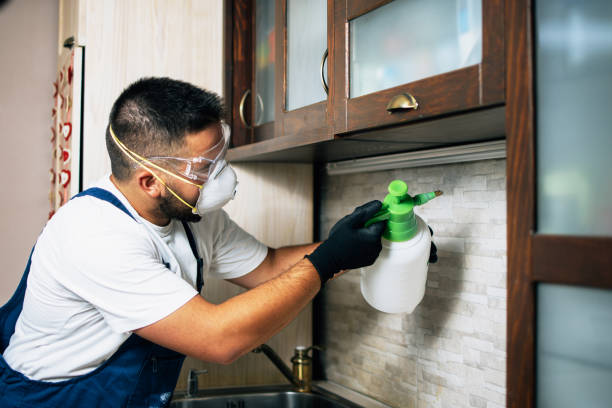  Mexia, TX Pest Control Pros