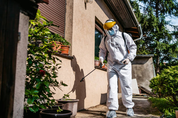 Best Ant Control Services  in Mexia, TX