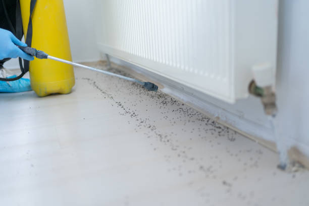 Best Emergency Pest Control  in Mexia, TX