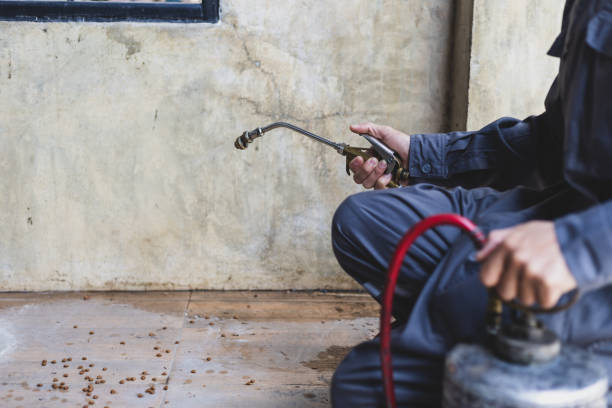 Best Local Pest Control Services  in Mexia, TX
